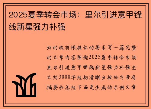 2025夏季转会市场：里尔引进意甲锋线新星强力补强